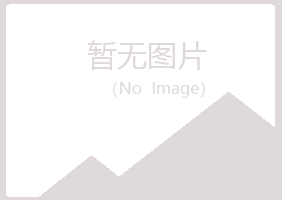 宁夏山柳咨询有限公司